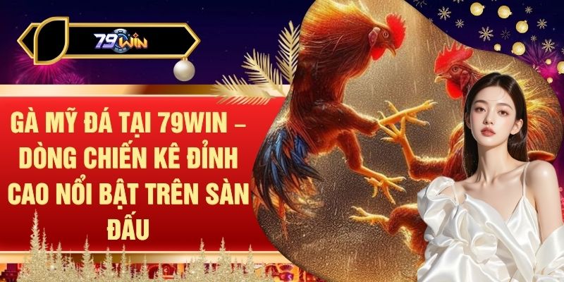 Gà Mỹ Đá Tại 79WIN – Dòng Chiến Kê Đỉnh Cao Nổi Bật Trên Sàn Đấu